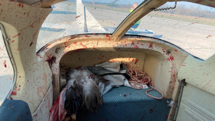 Illustration 6 of 9 from ÚZPLN report CZ-23-0068: Incident airplane Cessna 172RG at LKJA (Jaroměř)