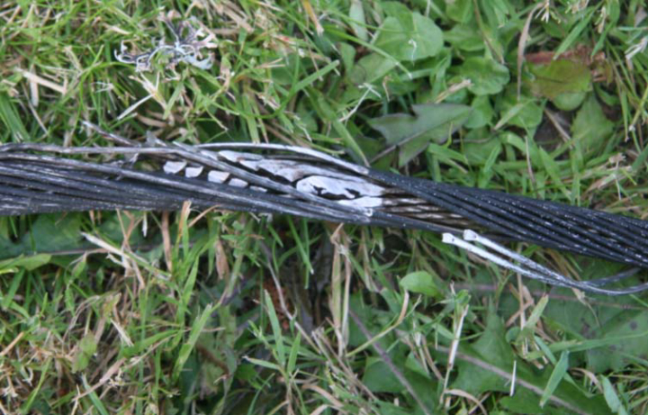 Illustration 7 of 7 from ÚZPLN report UZPLN-264: Event aircraft P 92 ECHO at DOLN (Nová Pec - úí nádrž Lipno)