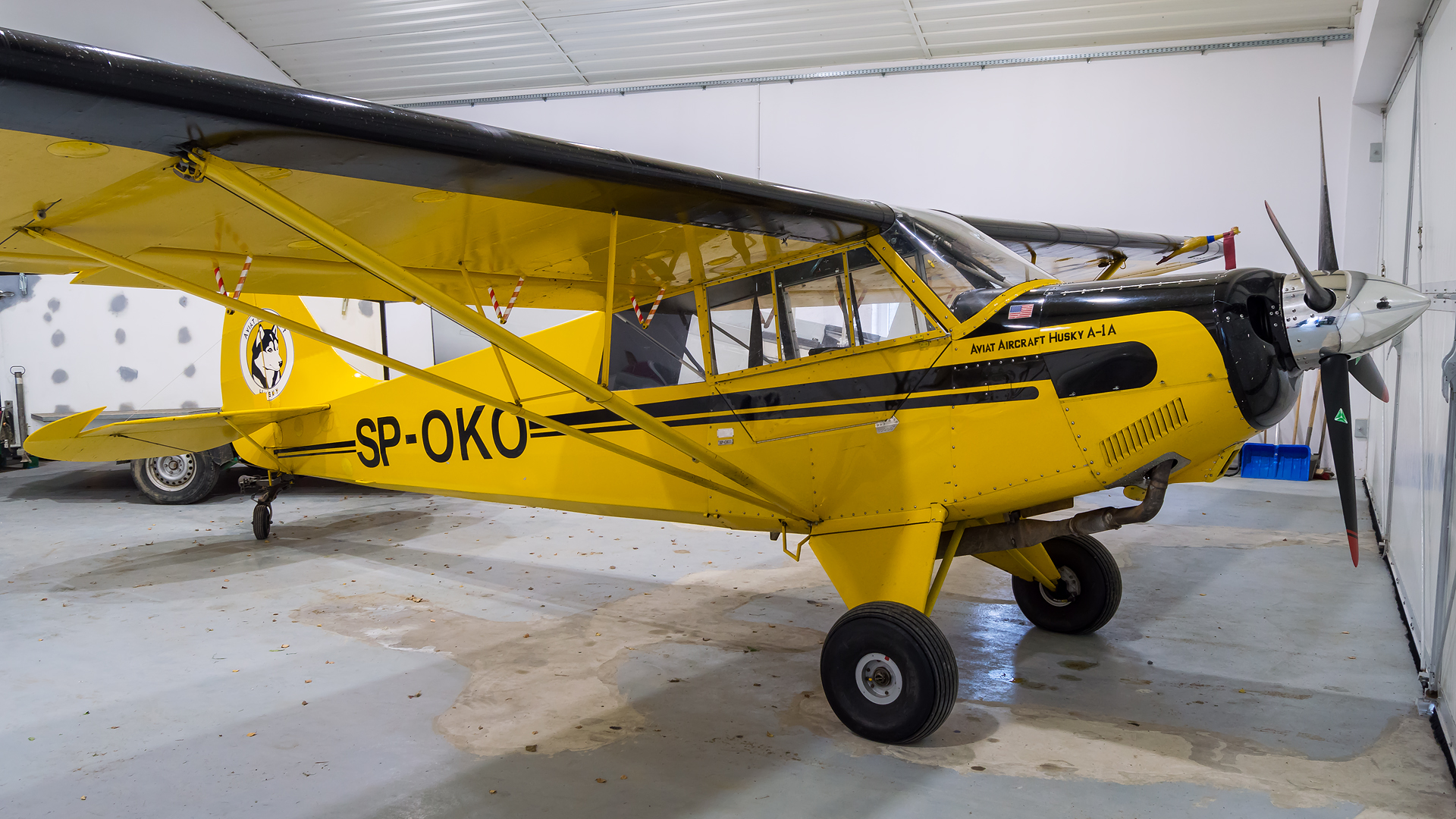 Aviat A-1 Husky