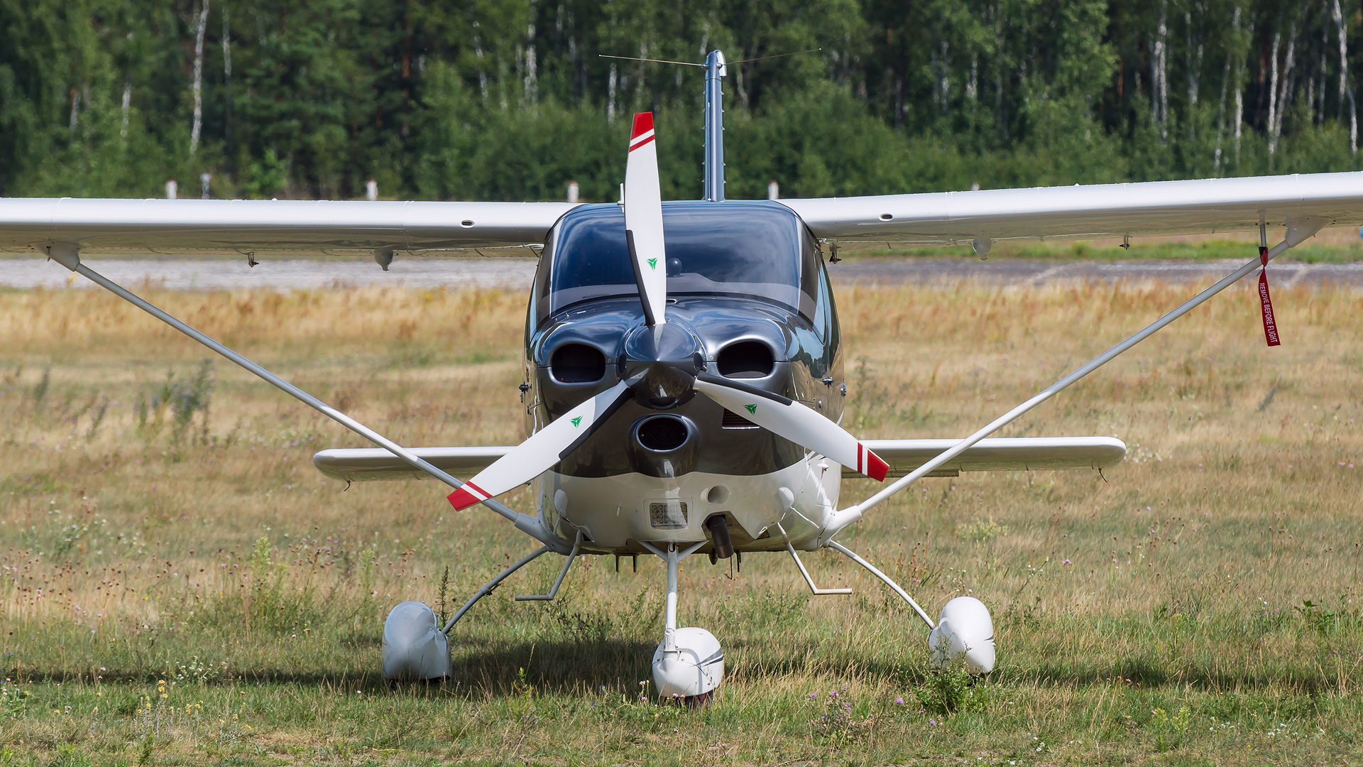 Tecnam P2010