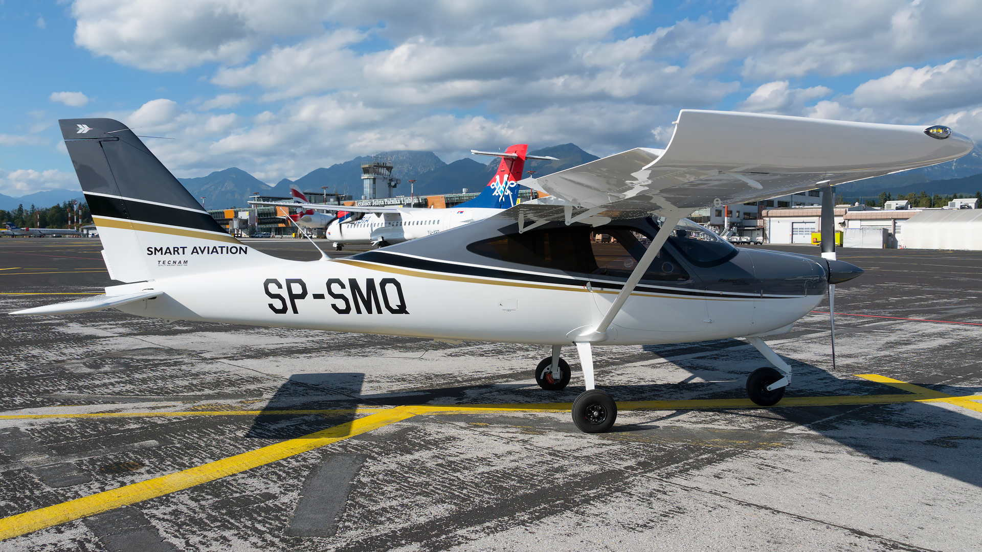 Tecnam P2008