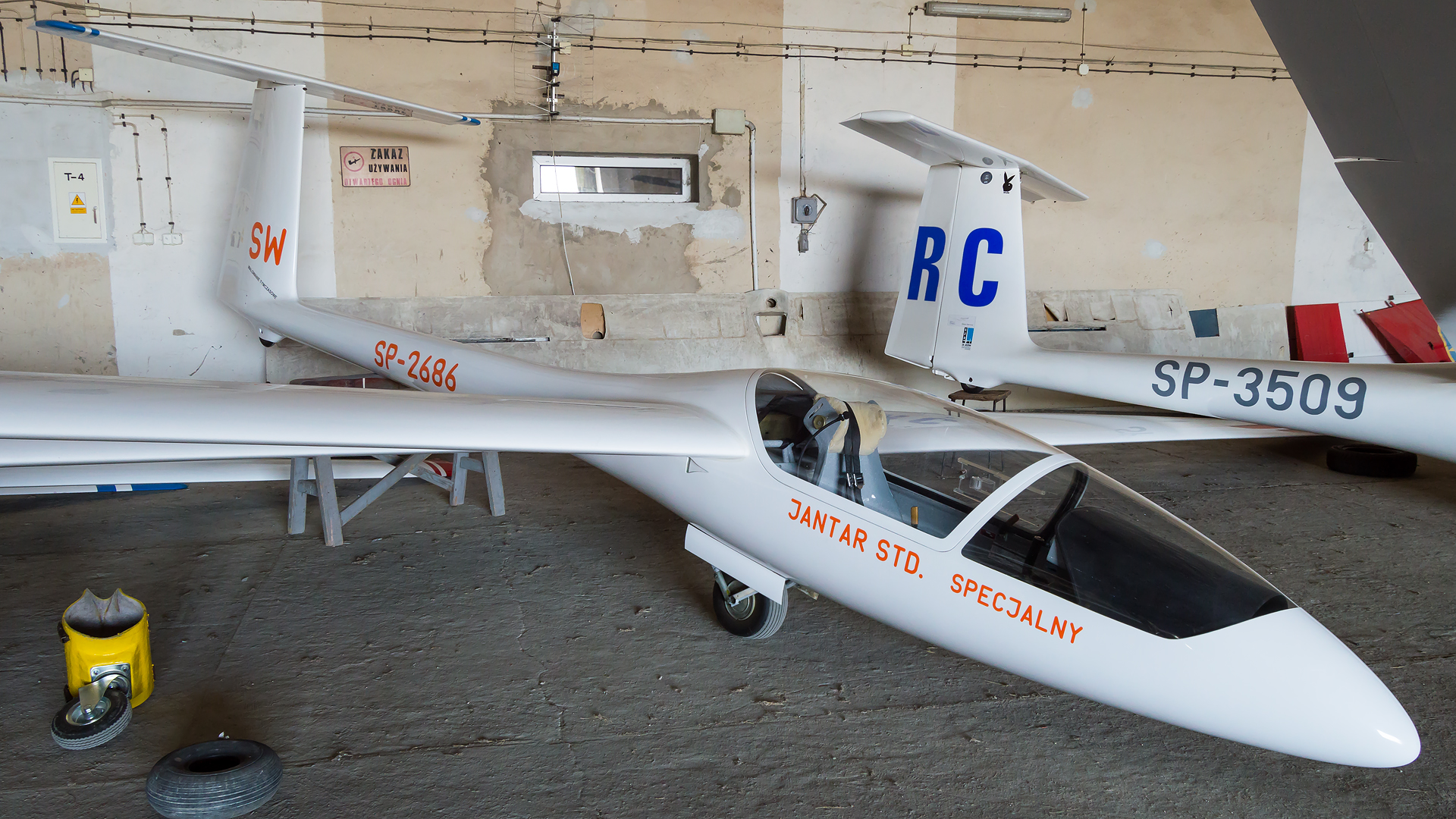 SZD-41 Jantar Std.