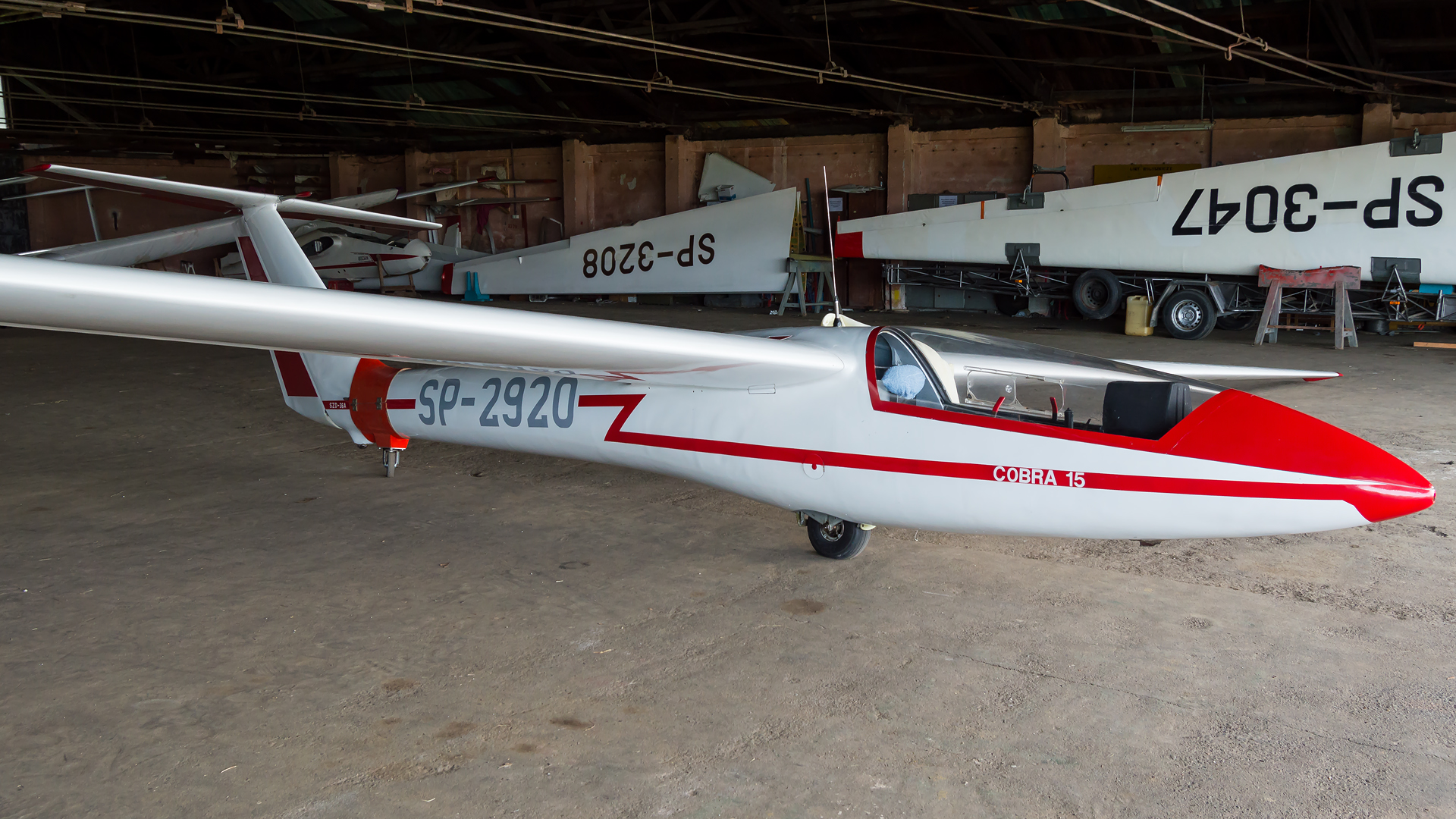 SZD-36 Cobra