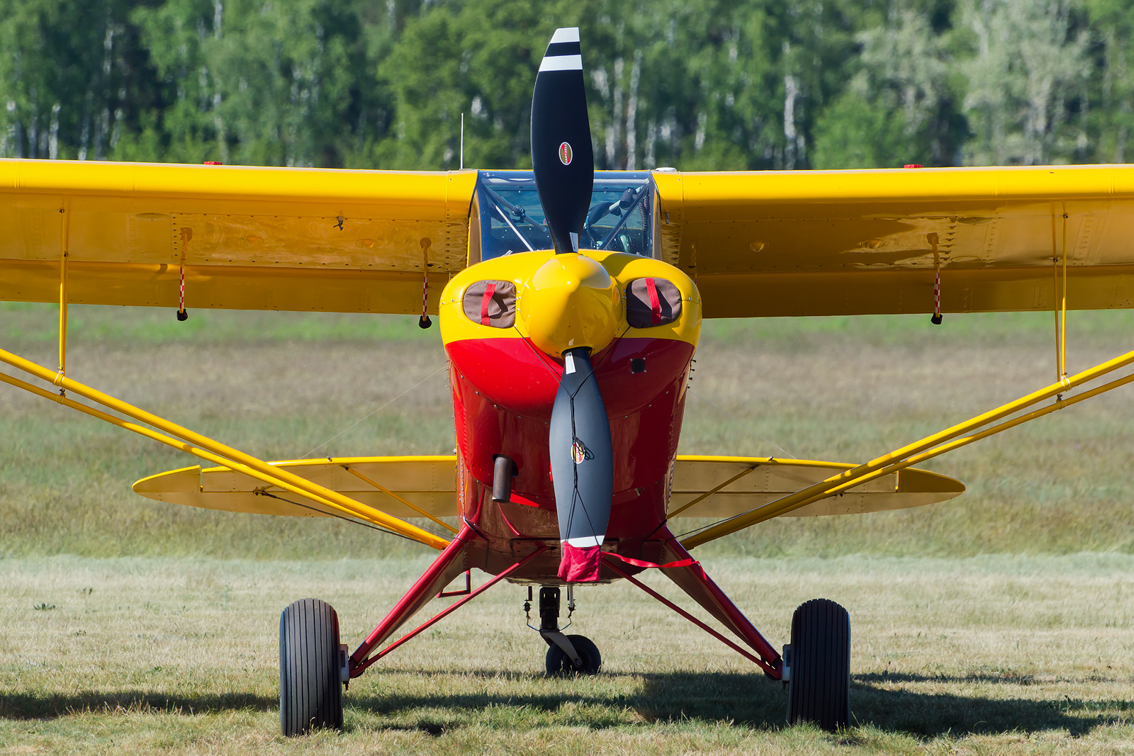 Aviat A-1 Husky