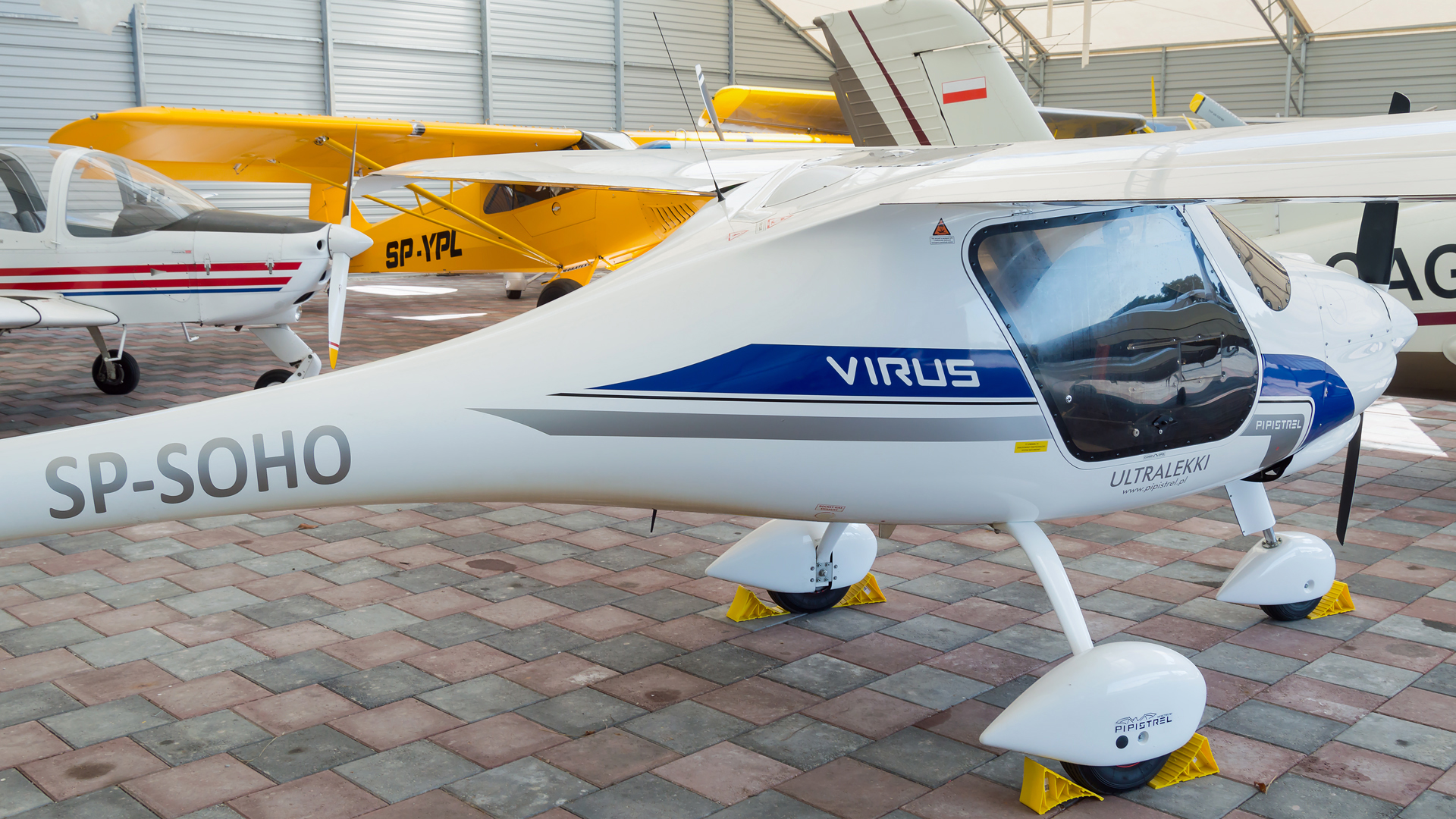 Pipistrel Virus
