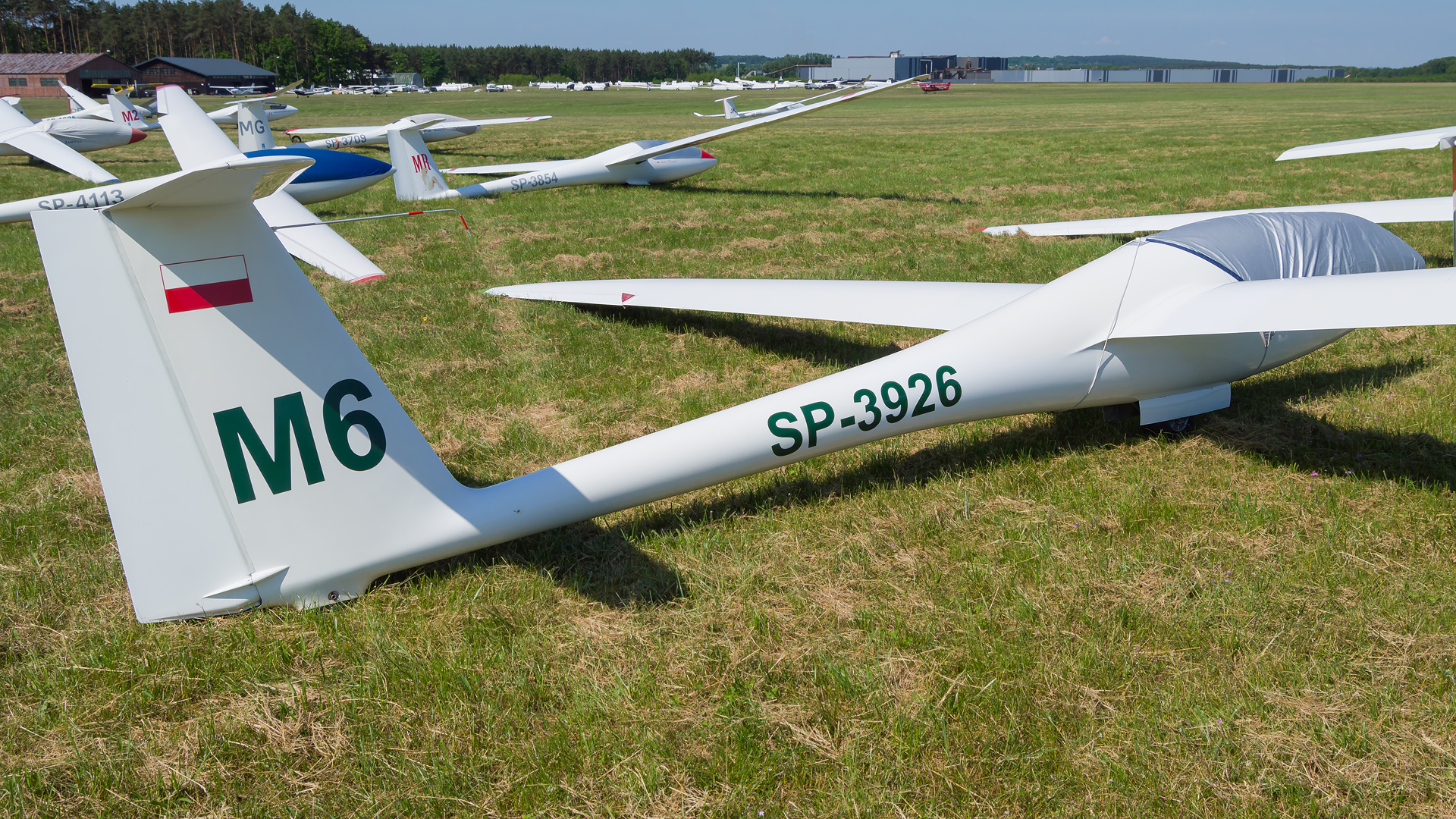 SZD-55-1