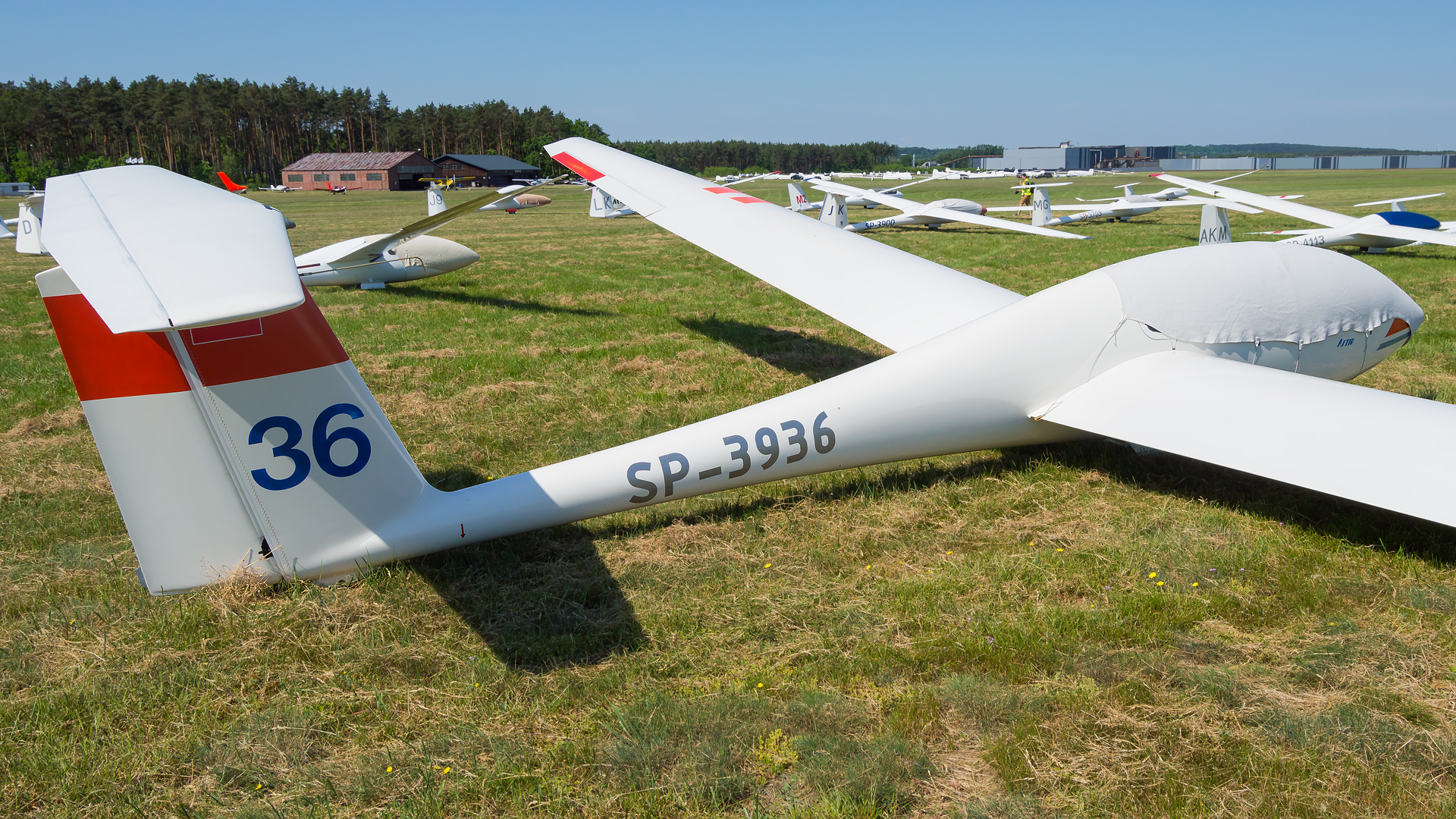 GROB G103