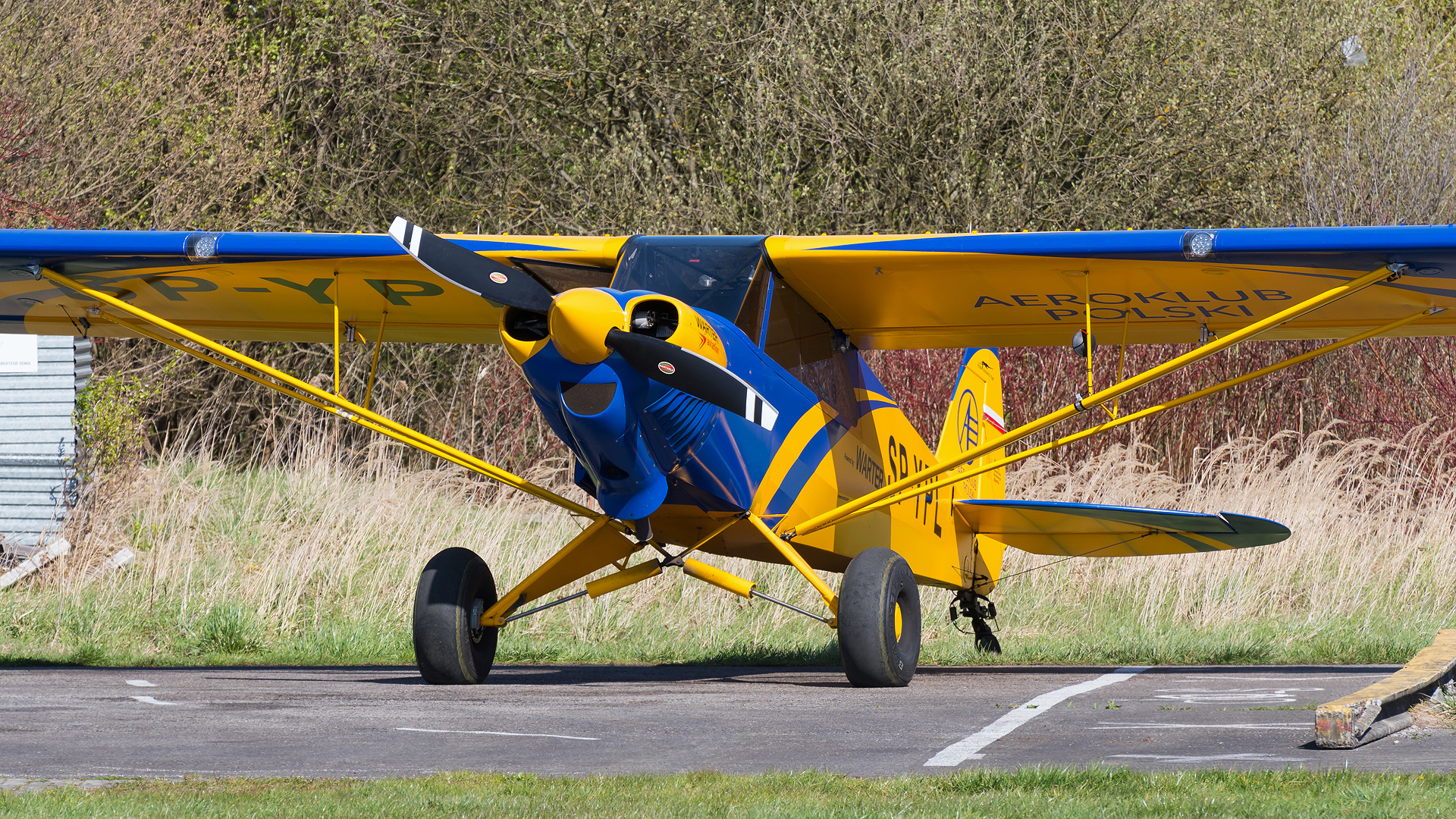 CubCrafters Carbon Cub
