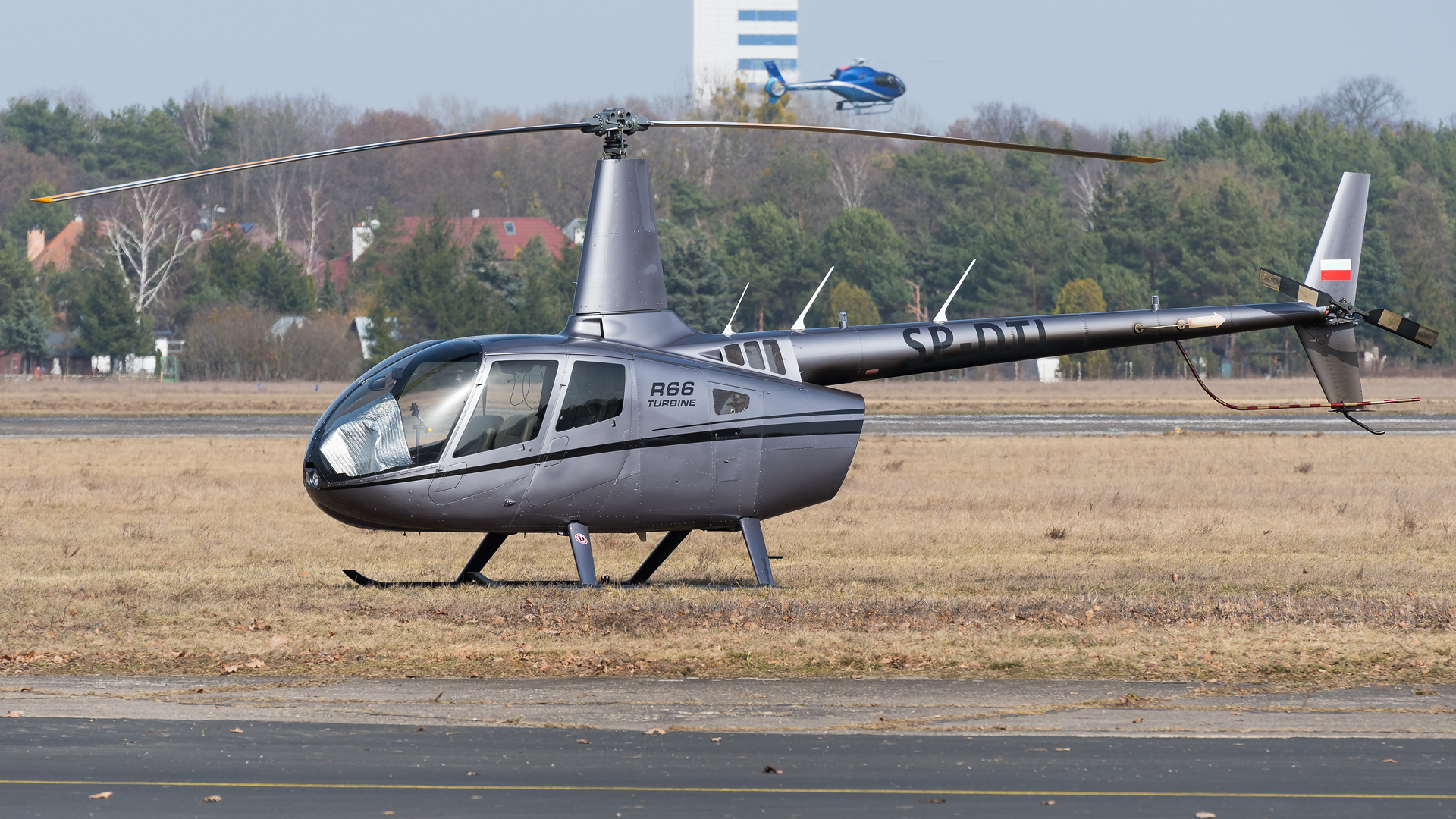 Robinson R66